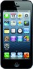 Apple iPhone 5 32GB - Воронеж